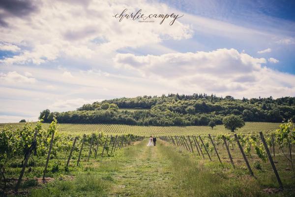 Denbies Vineyard Denbies Vineyard