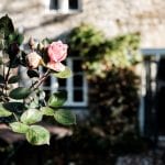 Trumpeter Cottage Double (2)