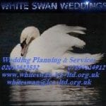 White Swan Weddings 824.jpg 1