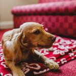 Picture5 Inn on the Coast