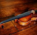 Albani Strings 955.jpg 1