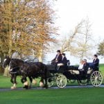 Shire Horse Carriages 1008.jpg 1