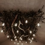 Jo Greenfield Photography overhead bridal lounge canopy at Eden Barn