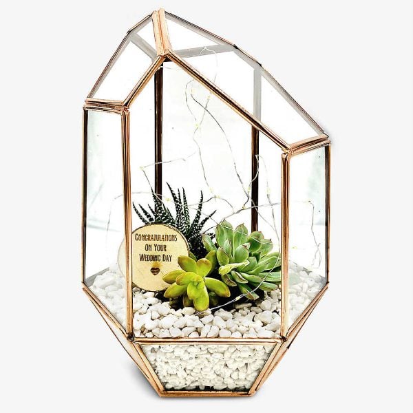 Thoughtful Wedding Gifts To Suit All Couples Terranium 19