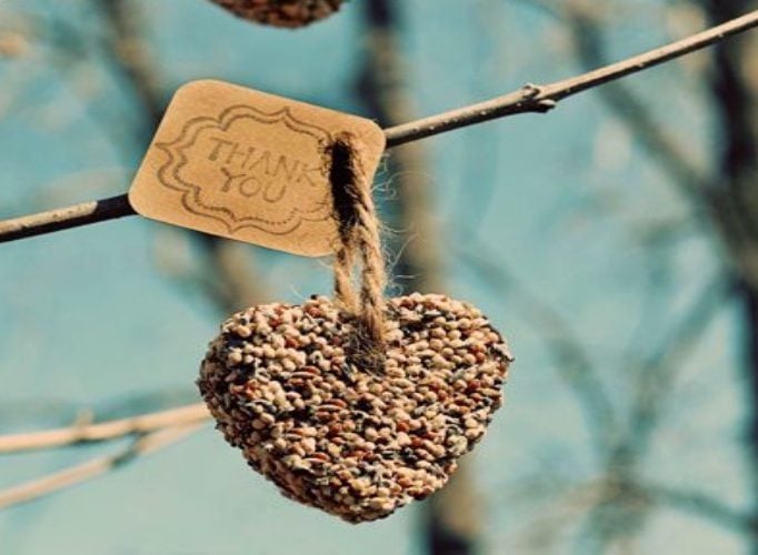 Easy DIY Wedding Favours for Frugal Couples Birdseed Hearts 18
