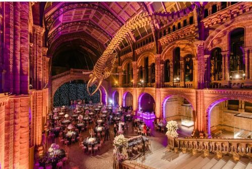Unique Wedding Venues In London natural history resized 47