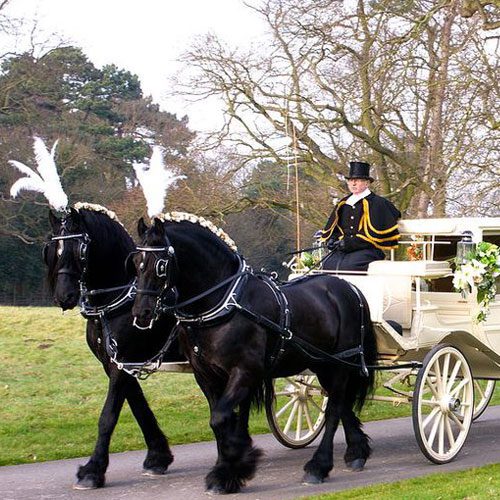 Magical Winter Wedding Ideas For Horse drawn carriage image Pinterest 21