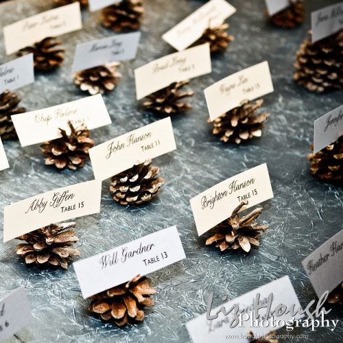 Magical Winter Wedding Ideas For Pine cones image Pinterest 18