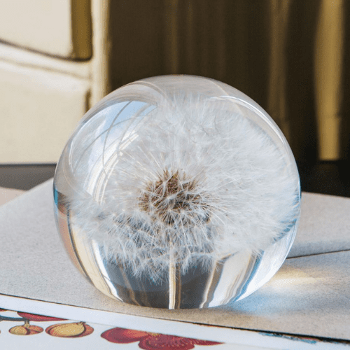 Anniversary Gifts for Her: Thoughtful Ideas 10