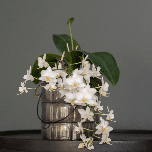 Anniversary Gifts for Her: Thoughtful Ideas Blog image square (67) 43