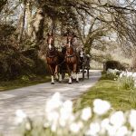 Pentillie Castle A traditional horse and carriage for a wedding day at Pentillie Castle by UpArt Photography.jpg 14