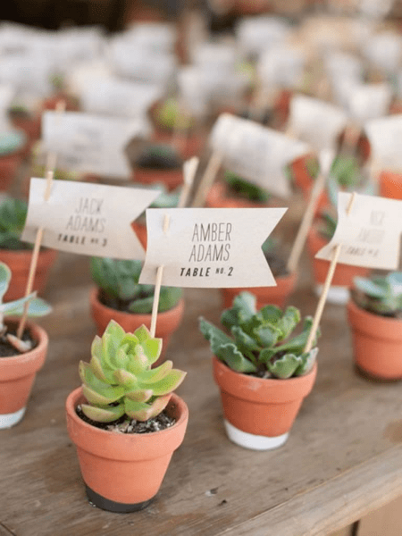 Summer Weddings: Ideas You’ll Want To Steal wedding succulents 37