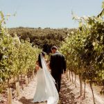Leonardslee Wine Estate ezgif 3d2a4ed31e49ca 10