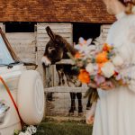 Grittenham Barn Stacey & Sara October Graham Nixon courtyard donkey .jpg 29