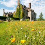 Llangoed Hall Floral.jpg 6