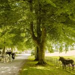 Clearwell Castle Ian Baker Photography (1).jpg 13