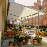 Toklas CREDIT KYLE CADDEY Toklas Terrace 1.jpg 1