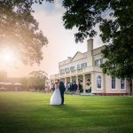 The Lawn New Lawn.jpg 1