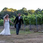 Leonardslee Wine Estate Vineyard.JPG 7