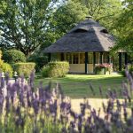 Shuttleworth External 1.jpg 12