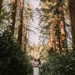 Karl Makula Catherdral Trees