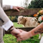 S&E - Preview-17_websize.jpg