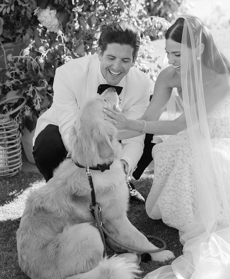 Because They’re Family Too: Including Your Pet In Your Wedding Day download 30T140424.082 1