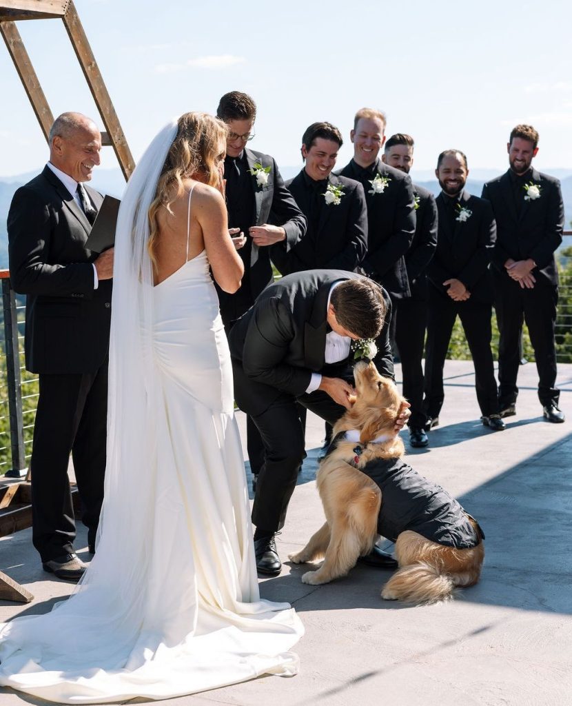 Because They’re Family Too: Including Your Pet In Your Wedding Day e0ef0237e7f8f1c5b5c40a434c9ea167 4