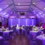 Daniel Lay Event Services Ltd